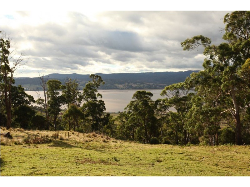 3 Pine Tree Avenue, Grindelwald TAS 7277