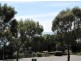 167 Gardners Road, Greens Beach TAS 7270