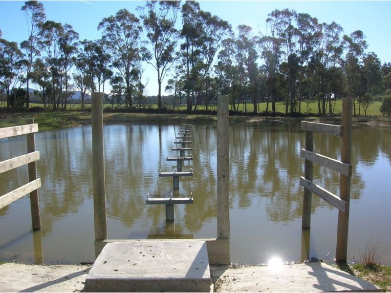 251 Flowery Gully Road, Flowery Gully TAS 7270