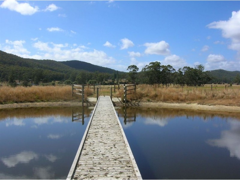 251 Flowery Gully Road, Flowery Gully TAS 7270