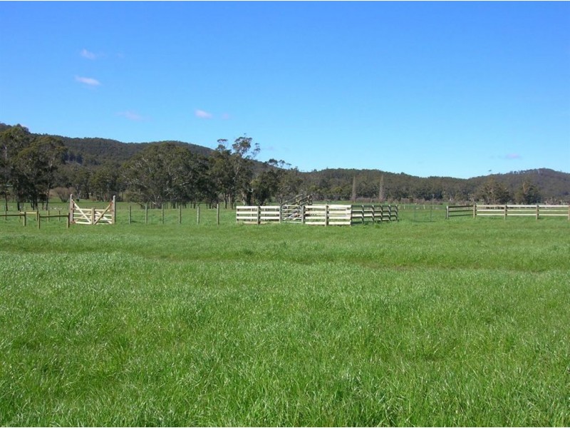251 Flowery Gully Road, Flowery Gully TAS 7270