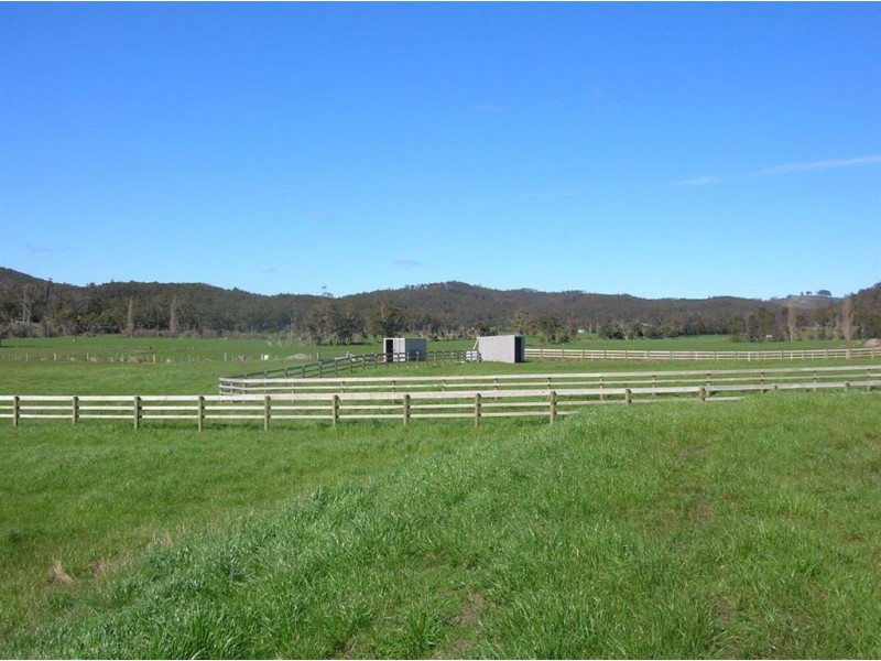 251 Flowery Gully Road, Flowery Gully TAS 7270