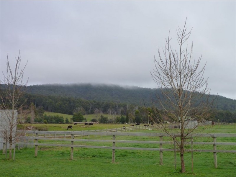 251 Flowery Gully Road, Flowery Gully TAS 7270