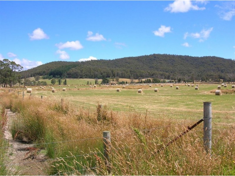 251 Flowery Gully Road, Flowery Gully TAS 7270