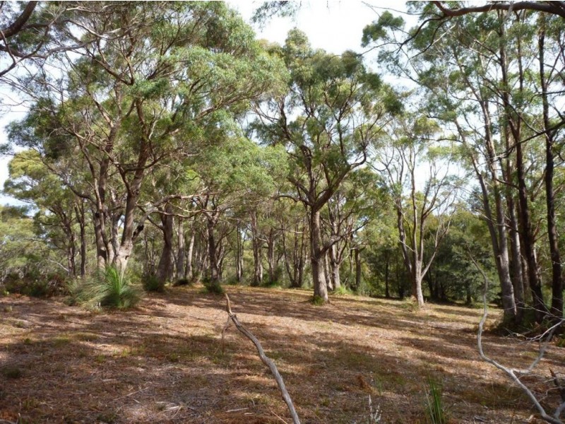 58 Charles Street, Beauty Point TAS 7270