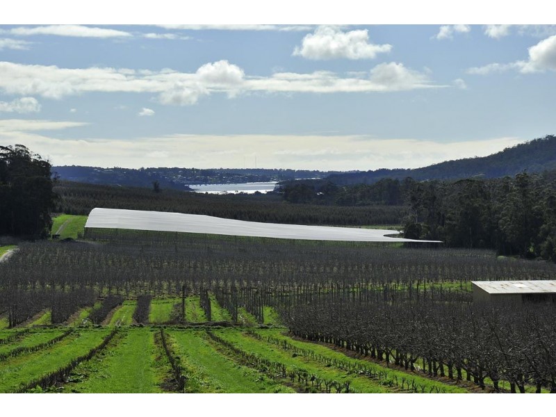 299 Valley Road, Sidmouth TAS 7270