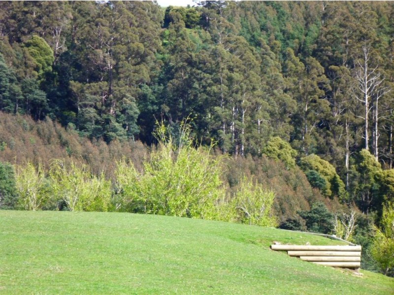 146 Smiths Road, Flowery Gully TAS 7270