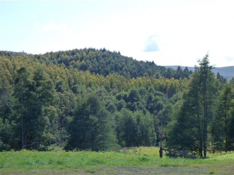 146 Smiths Road, Flowery Gully TAS 7270