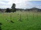 320 Frankford Rd, Exeter TAS 7275