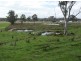 320 Frankford Rd, Exeter TAS 7275