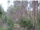 59 Yelton View Road, Notley Hills TAS 7275