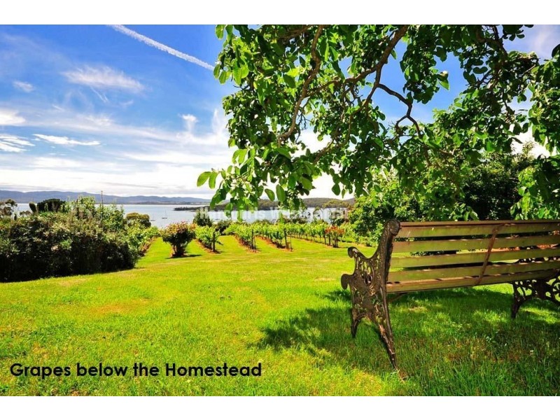 Pomona/77 Flinders Street, Beauty Point TAS 7270