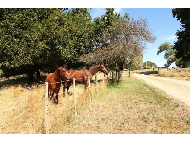 86 Clarks Road, Rowella TAS 7270