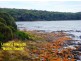163 Gardners Road, Greens Beach TAS 7270