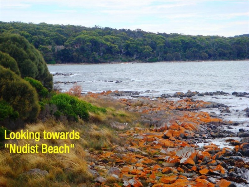 163 Gardners Road, Greens Beach TAS 7270