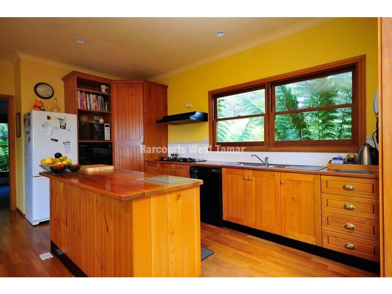 163 Deviot Road, Robigana TAS 7275