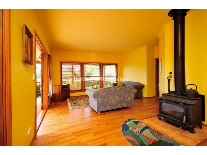 163 Deviot Road, Robigana TAS 7275