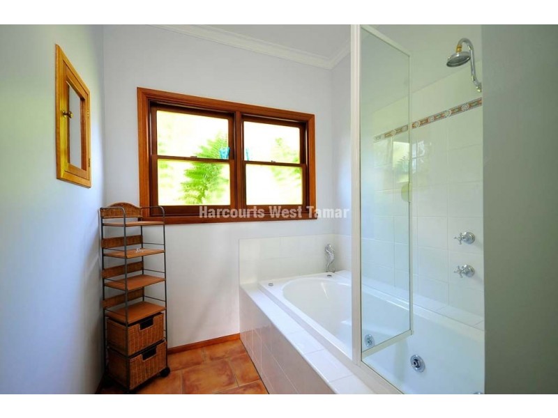 163 Deviot Road, Robigana TAS 7275