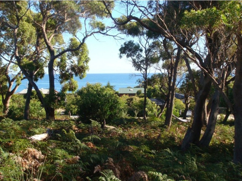 101 Top Road West, Greens Beach TAS 7270