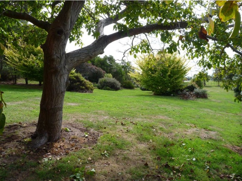 45 Flinders Street, Beauty Point TAS 7270