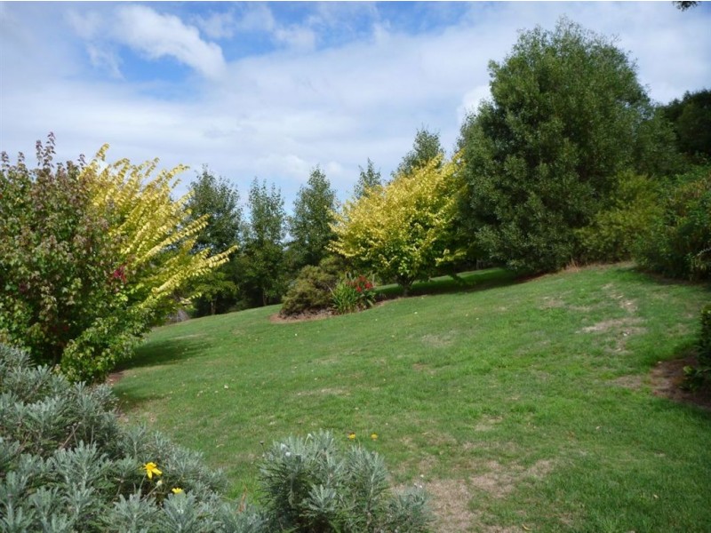 45 Flinders Street, Beauty Point TAS 7270