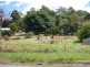 8/7-9 Flinders Street, Beauty Point TAS 7270