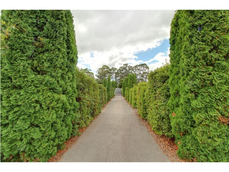 39 Kooringal Avenue, Legana TAS 7277