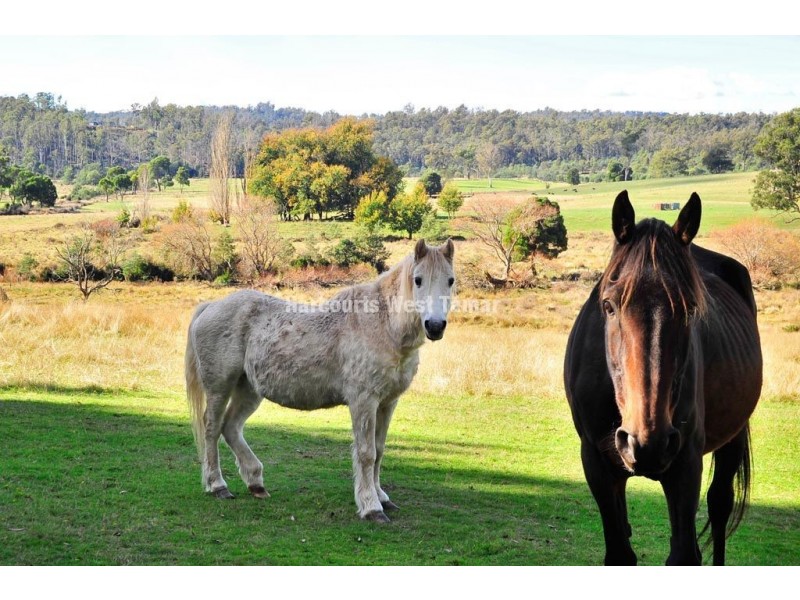 1455 Bridgenorth Road, Rosevale TAS 7292