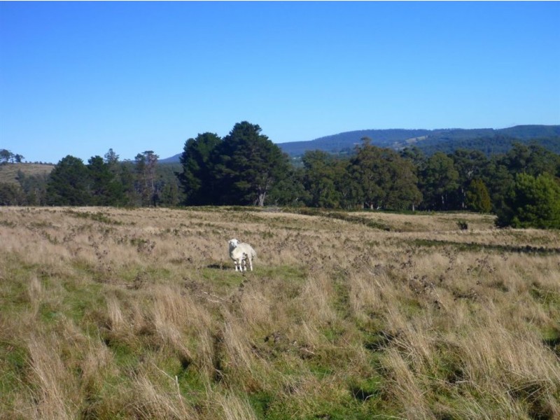 Lot 1/124 Glendale Road, Sidmouth TAS 7270