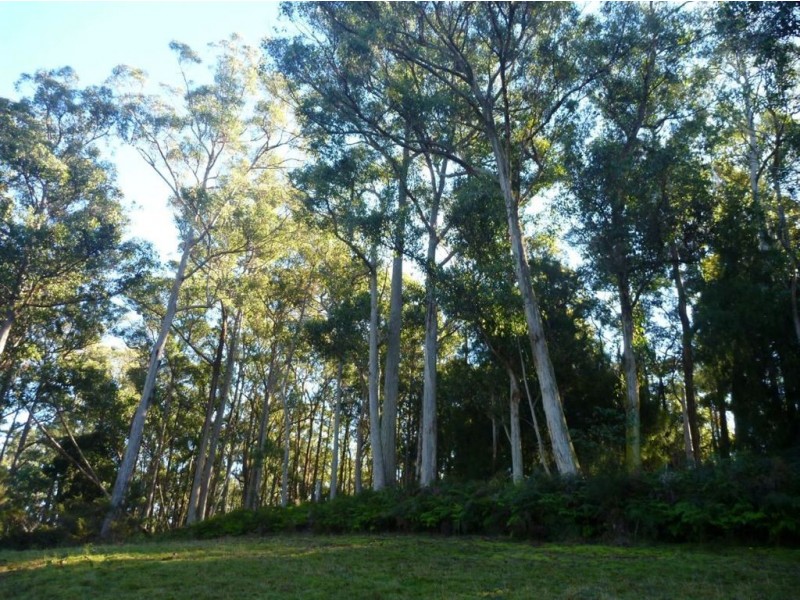 Lot 1/124 Glendale Road, Sidmouth TAS 7270