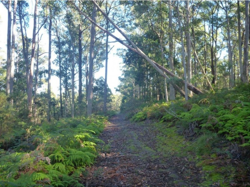 Lot 1/124 Glendale Road, Sidmouth TAS 7270