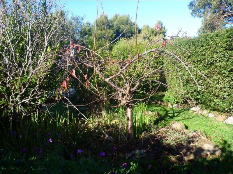 124 Glendale Road, Sidmouth TAS 7270