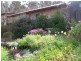123 Kayena Road, Kayena TAS 7270