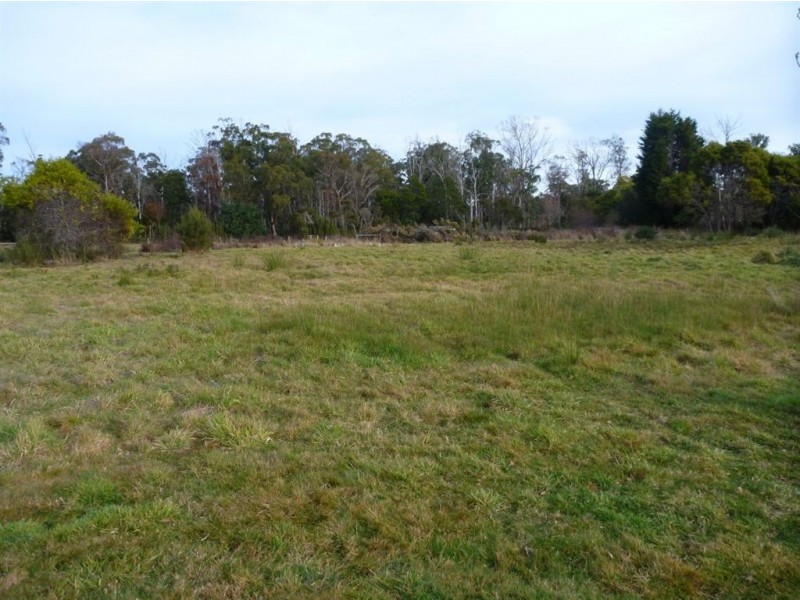 12 Carl Court, Swan Point TAS 7275