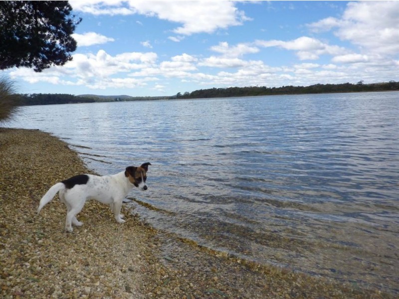 42 Clarence  Point Road, Clarence Point TAS 7270