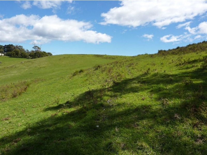 42 Clarence  Point Road, Clarence Point TAS 7270