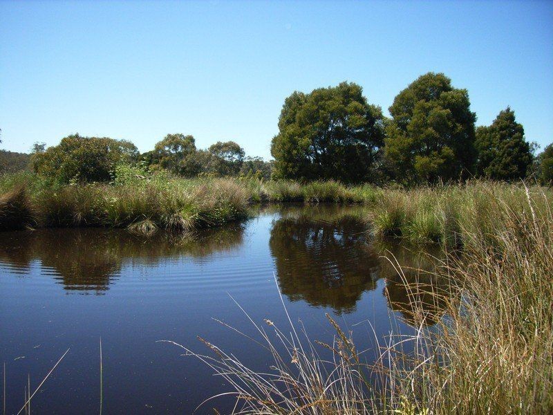 3172 West Tamar Highway, Loira TAS 7275