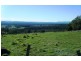 Lot 2 , 32 Lamont Road, Glengarry TAS 7275