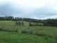 Lot 2 , 32 Lamont Road, Glengarry TAS 7275