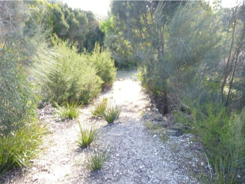 24 Pars Road, Greens Beach TAS 7270