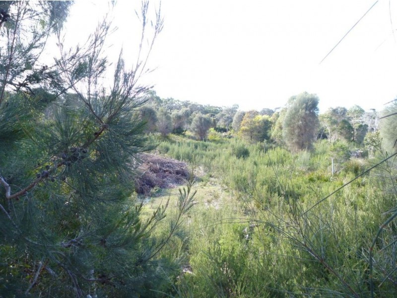 24 Pars Road, Greens Beach TAS 7270