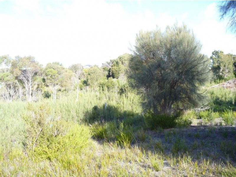 24 Pars Road, Greens Beach TAS 7270