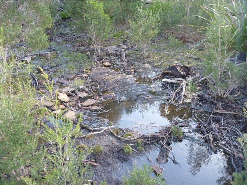 24 Pars Road, Greens Beach TAS 7270