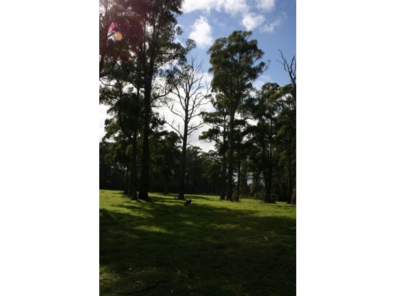 Lot 1 Greens Beach Rd, York Town TAS 7270