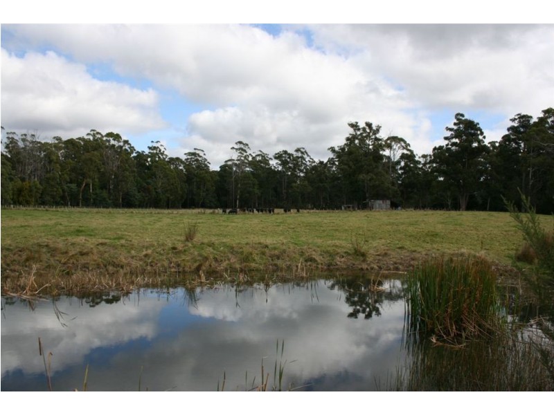 Lot 1 Greens Beach Rd, York Town TAS 7270