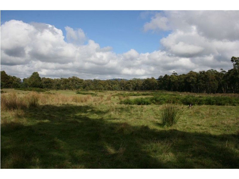 Lot 1 Greens Beach Rd, York Town TAS 7270