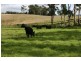 Lot 1 Greens Beach Rd, York Town TAS 7270