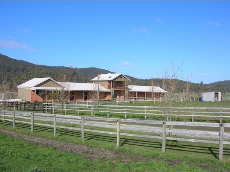 251 Flowery Gully Road, Flowery Gully TAS 7270