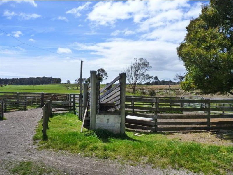 314 Greens Beach Road, Beaconsfield TAS 7270