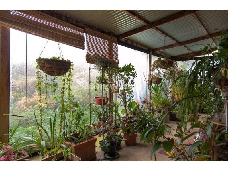 194 Priestleys Lane, Birralee TAS 7303